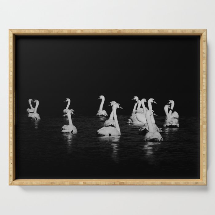 Dark Swan Lake Fine Art Nature Photography Serving Tray