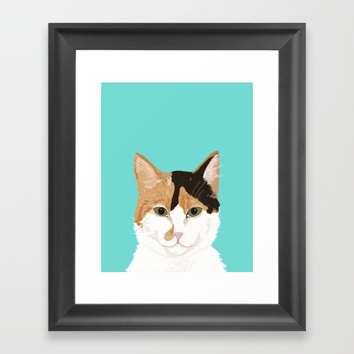 Calico Cat Cute Cat Black White Tan Orange Tabby Cat Cute