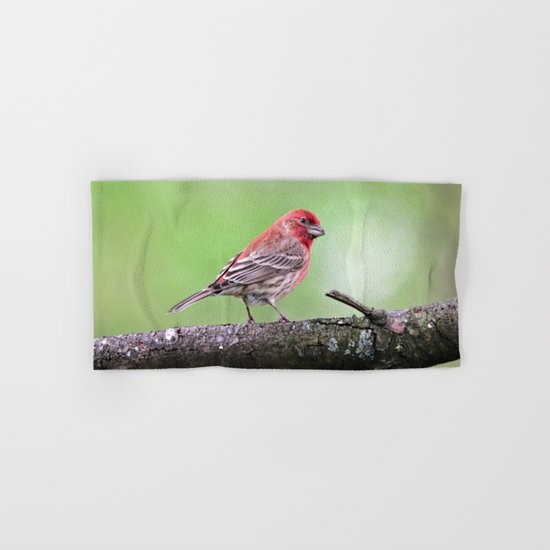Fancy Finch Hand & Bath Towel