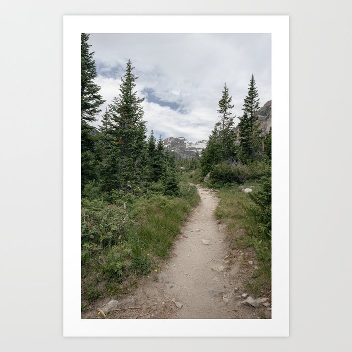 Cascade Canyon Trail in Grand Teton National Park Art Print