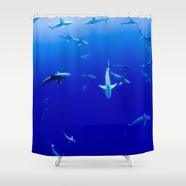 Sharks! Shower Curtain