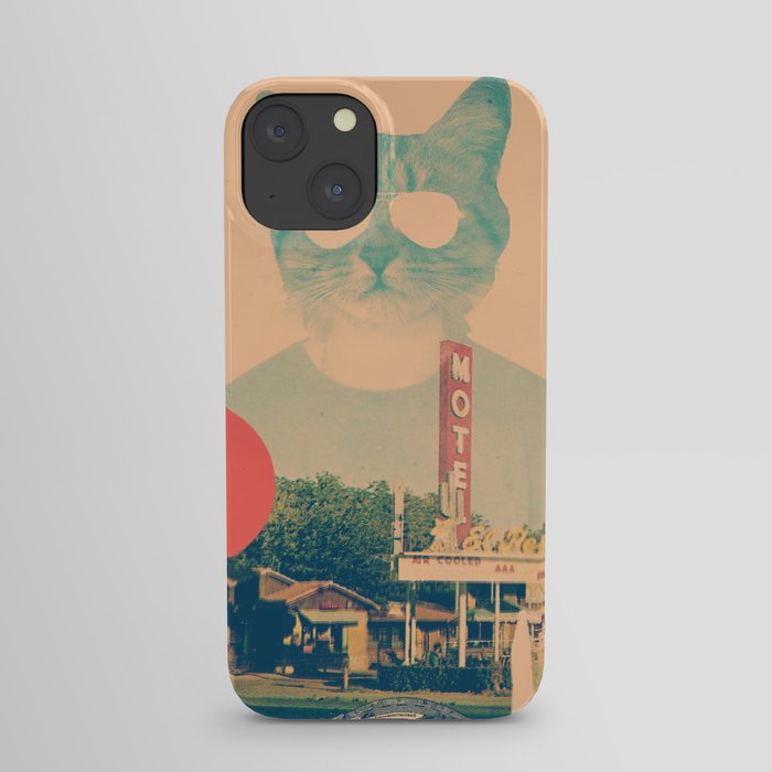 Cool Cat iPhone Case