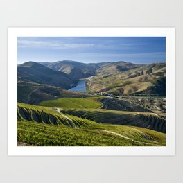 Vineyards in the Douro Valley, Pinhao Art Print