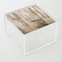 Oregon Coast Sepia Forest Acrylic Box