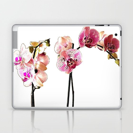 Fresh Flowers - Pink Phalaenopsis Orchids Art Laptop & iPad Skin