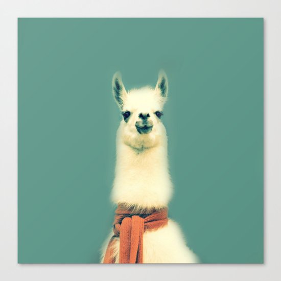 Llama Canvas Print