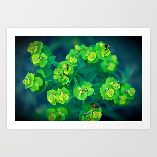 Green rhapsody Art Print