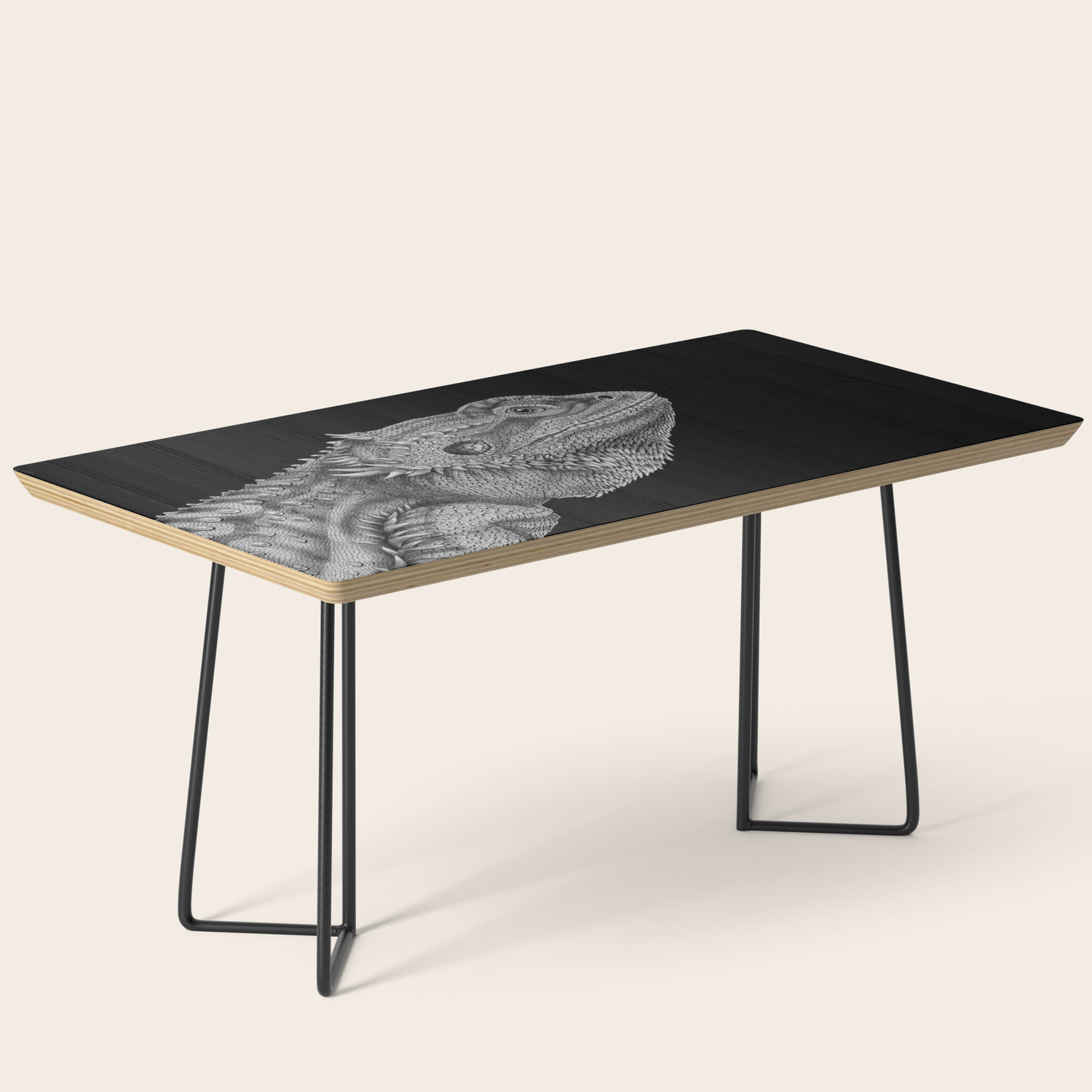 bearded dragon coffee table