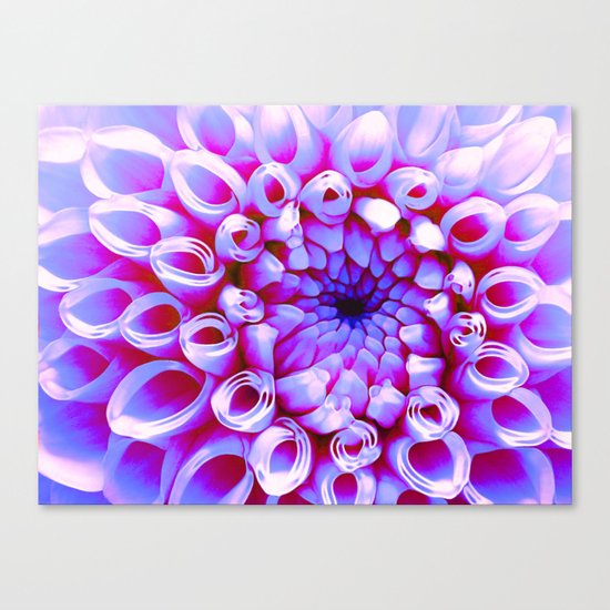 Electric Dahlia Canvas Print