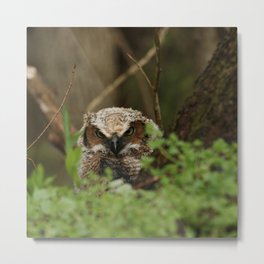 First morning on earth Metal Print