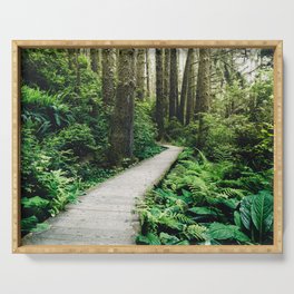 Forest Boardwalk - Redwood National Park Hiking Serving Tray