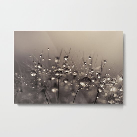 Sepia Shower Metal Print