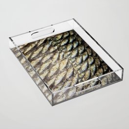 Redfish Scales Acrylic Tray