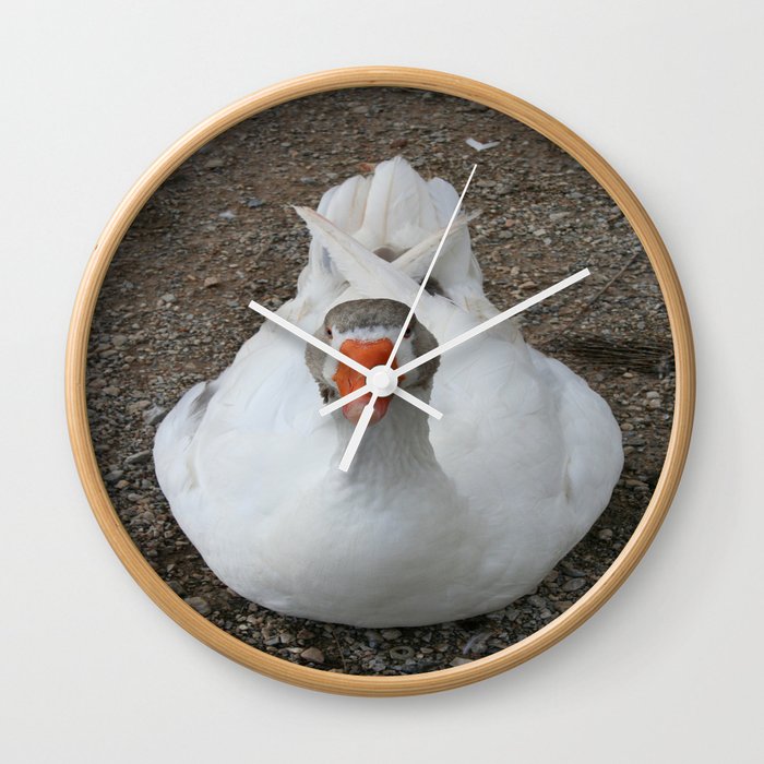 White Wild Duck Sitting on Gravel Wall Clock