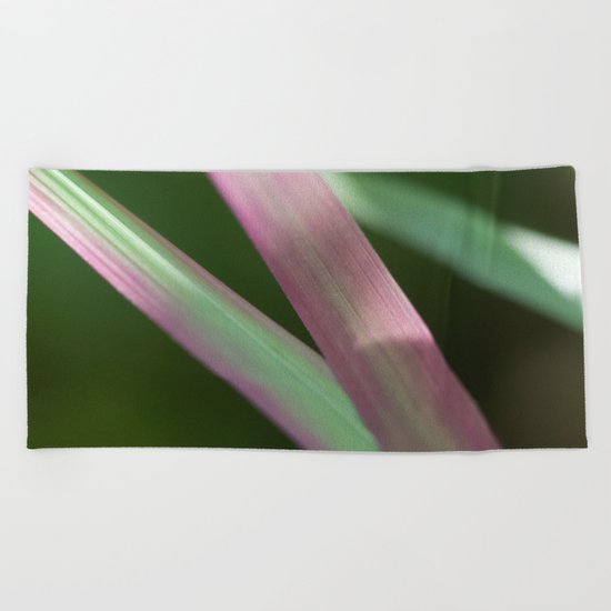 Red Baron close-up (Japanese bloodgrass) #1 #art #society6 Beach Towel