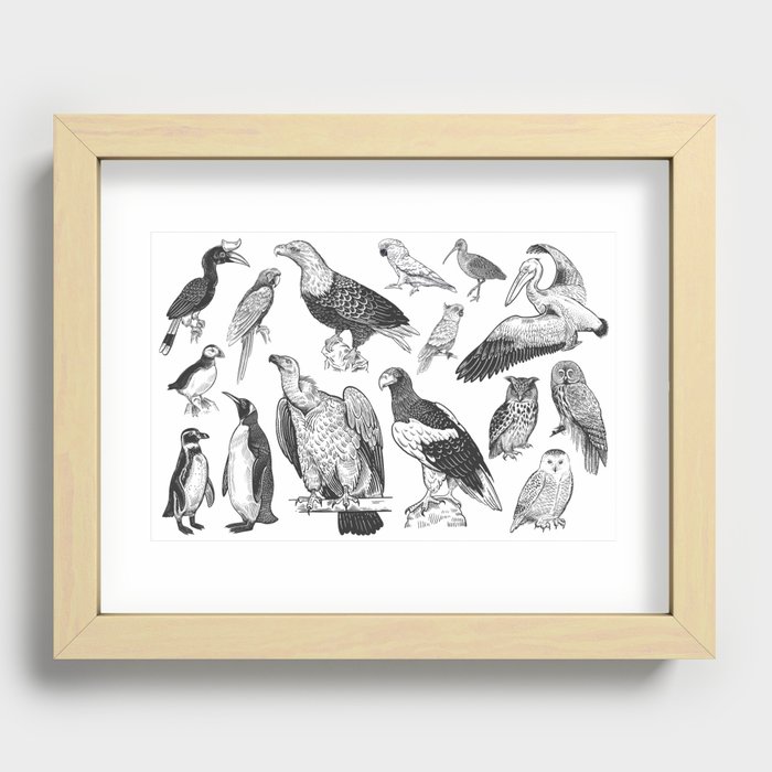 Birds of wildlife set. Eagles, owls, parrots, pelican, penguins, ibis, puffin isolated on white background. Tropical, exotic, water birds. Black white illustration. Vintage. Vintage. Realistic graphics Recessed Framed Print