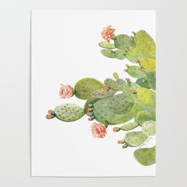 Cactus Poster