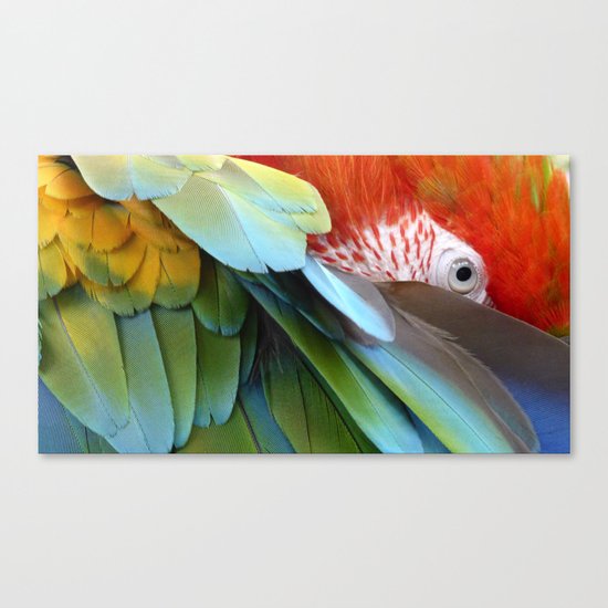 Feathered Friends Canvas Print