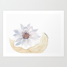 Graylotus Art Print | Joy, Love, Clean, Inspire, Peace, Flower, Rebirth, Painting, Watercolor, Nature 