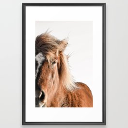 Icelandic Horse Print - Equestrian Photography, Iceland Photography, Horse Art Framed Art Print