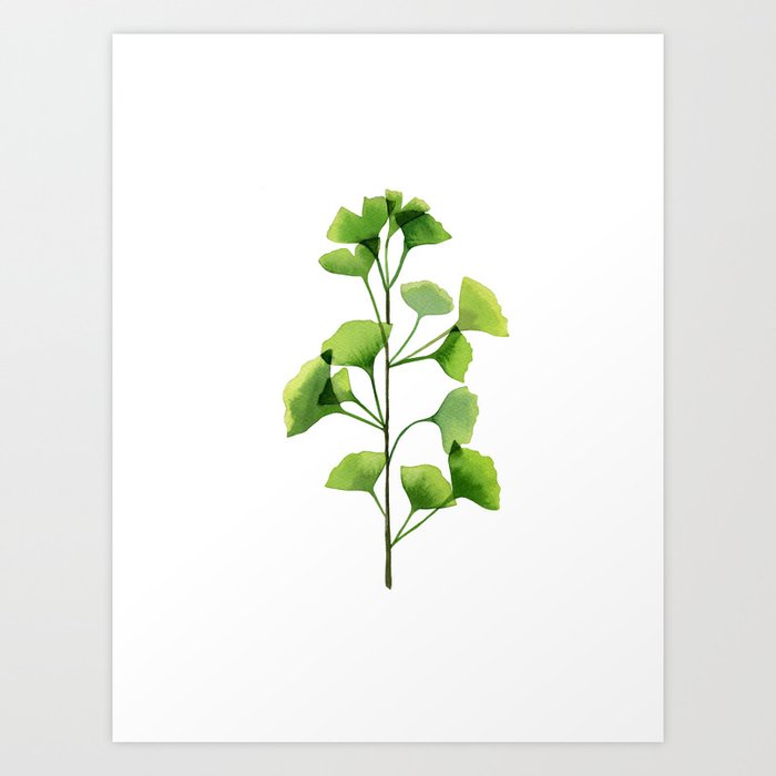 Discover the motif GINKGO BILOBA LEAVES by Art by ASolo as a print at TOPPOSTER