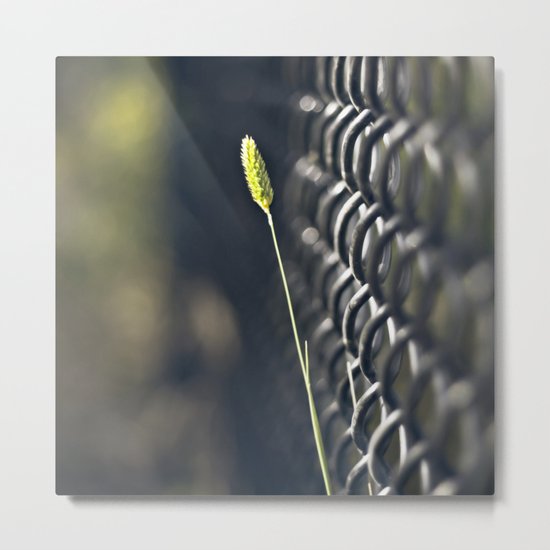 Twig & Fence Metal Print