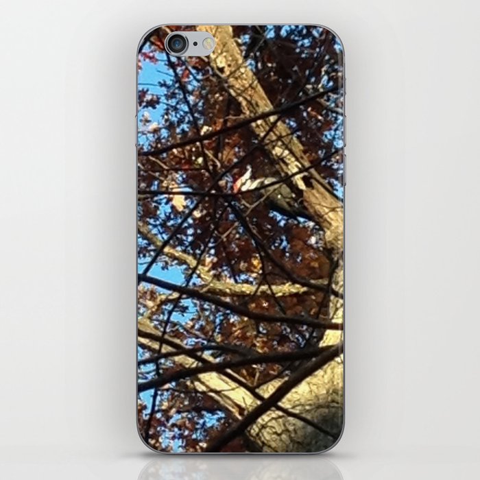 Pileated Woodpecker Amidst the Trees iPhone Skin