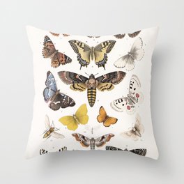 Vintage Butterfly Chart Drawing Graphic Print Throw Pillow