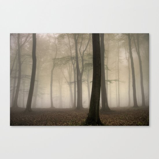 stillness Canvas Print