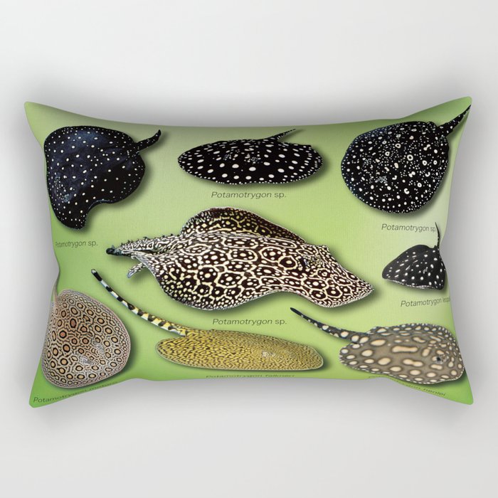 stingray pillow pet