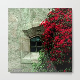Secret Window Behind the Red Flowers Metal Print