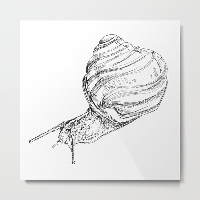 Snail Sketch Metal Print