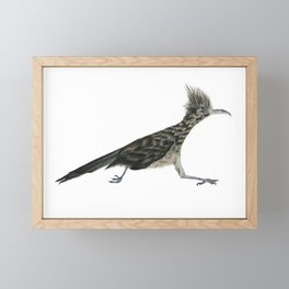 Greater Roadrunner Framed Mini Art Print