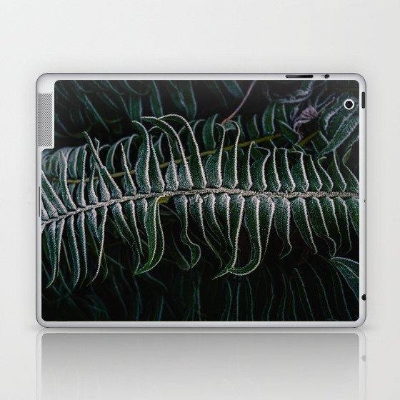 Deep green bracken frond with frost Laptop & iPad Skin