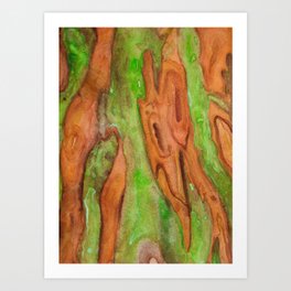 Arizona Cypress Bark Art Print
