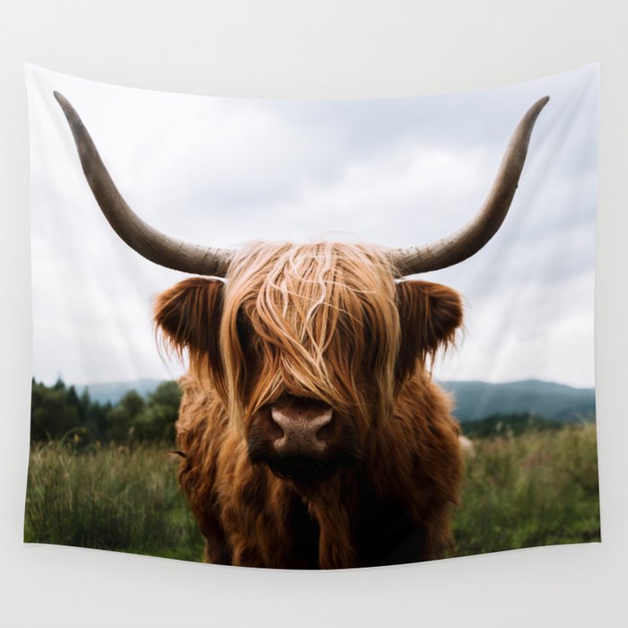 Scottish Highland Cattle In Scotland, Highland Cow Shower Curtain Society6