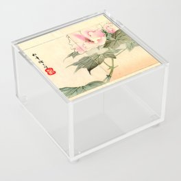Hibiscus and Horsefly (Suzuki Shonen) Acrylic Box