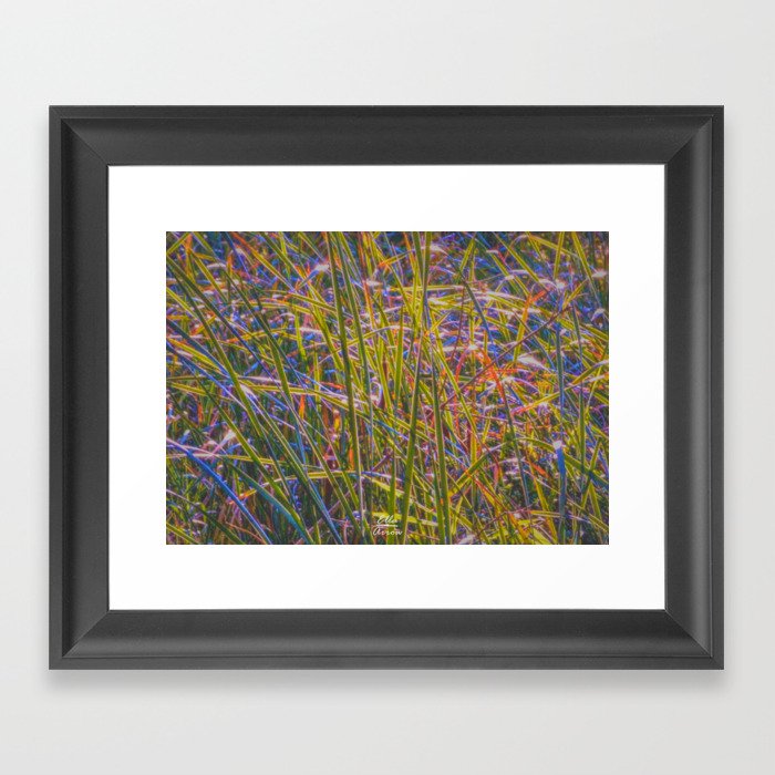 Stained Grass Windows Framed Art Print
