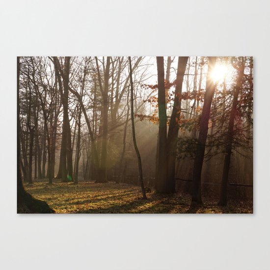 Sunlit Morning Canvas Print