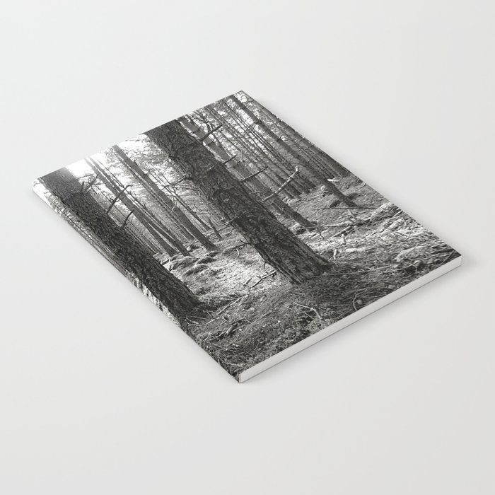 Spring Pine Forest in Black and White Notebook