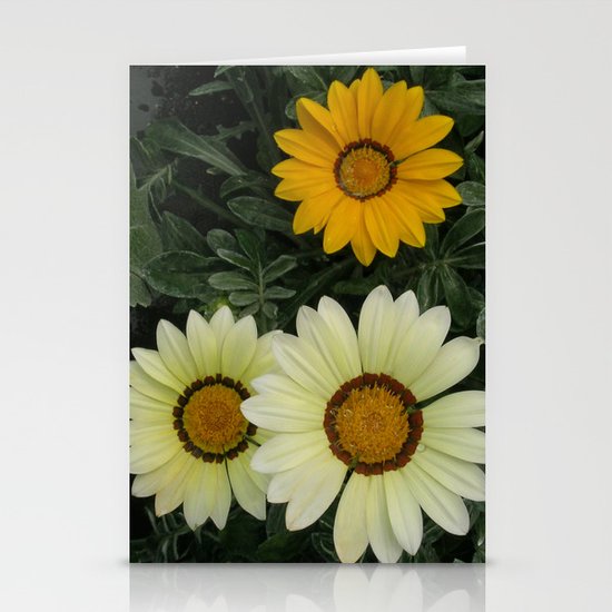 Flower Stationery Cards