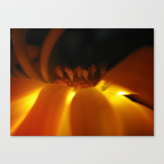 Uplit Stamen 19 Canvas Print