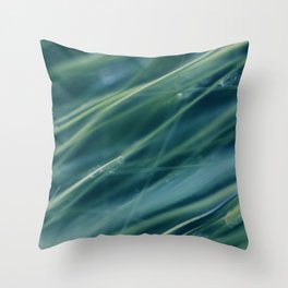 Kentucky Blue grass Throw Pillow