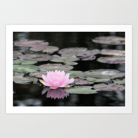 The Lily Pad Art Print