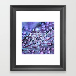 Metatron's cube sacred geometry on purple leaf with drops of water Framed Art Print