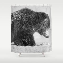 Alaskan Grizzly Bear in Snow, B & W - I Shower Curtain