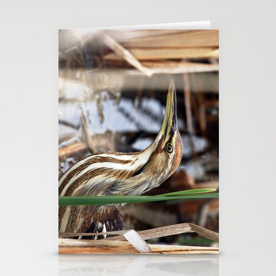 American Bittern - Take Two Stationery Cards