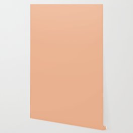 Peach Color Wallpaper For Any Decor Style Society6