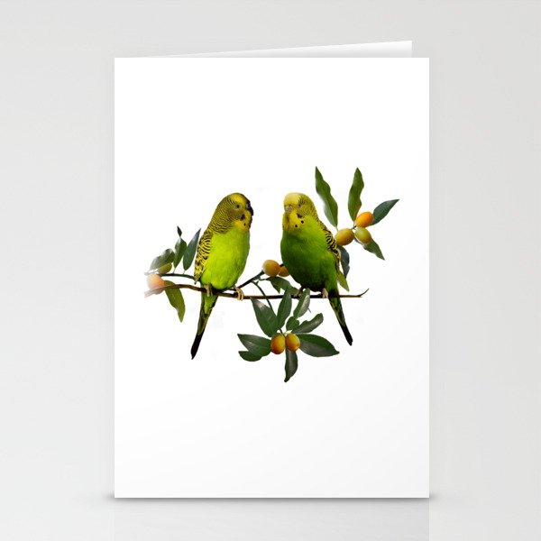 Budgies in Kumquat Tree Stationery Cards