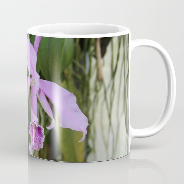 Tropical Flowers Orchids Coffee Mug